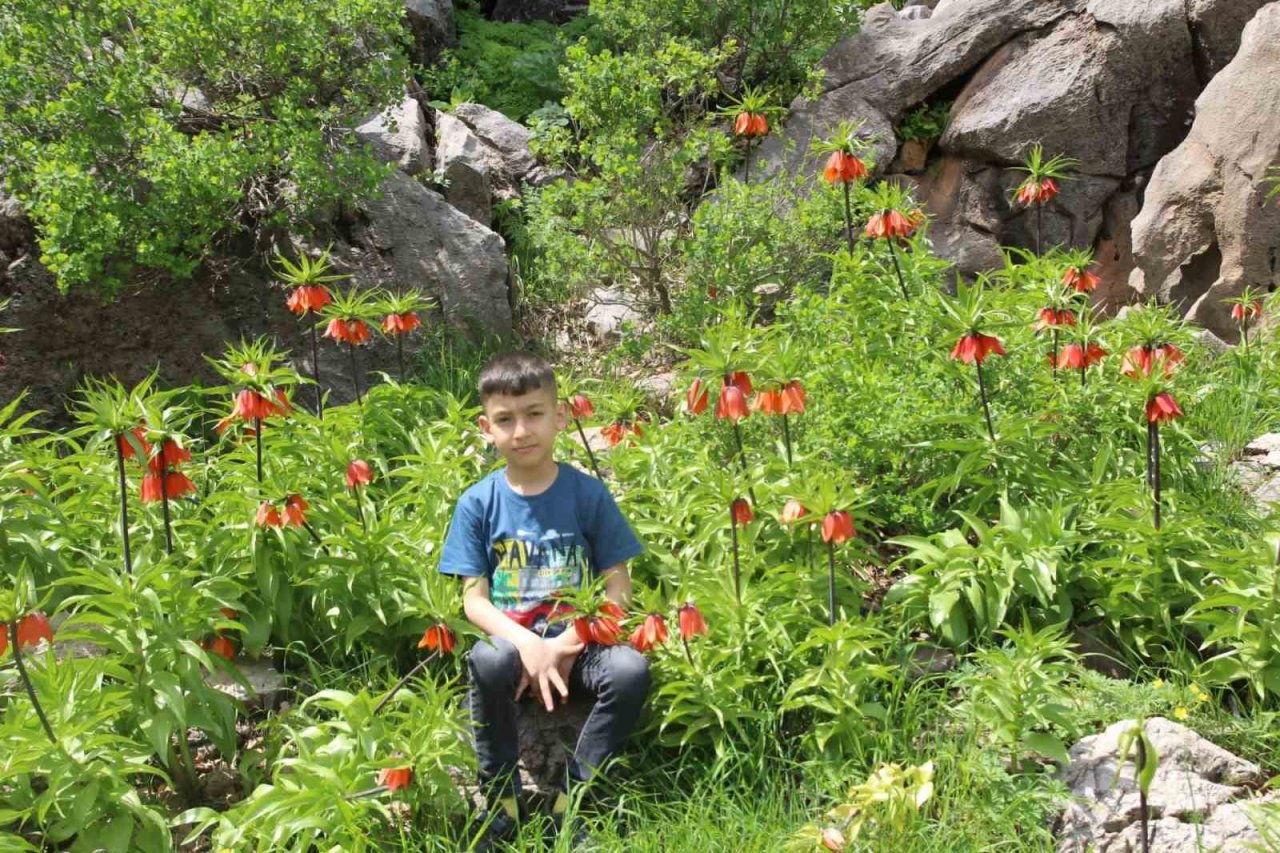 ’Ağlayan gelinler’ görsel şölen oluşturdu