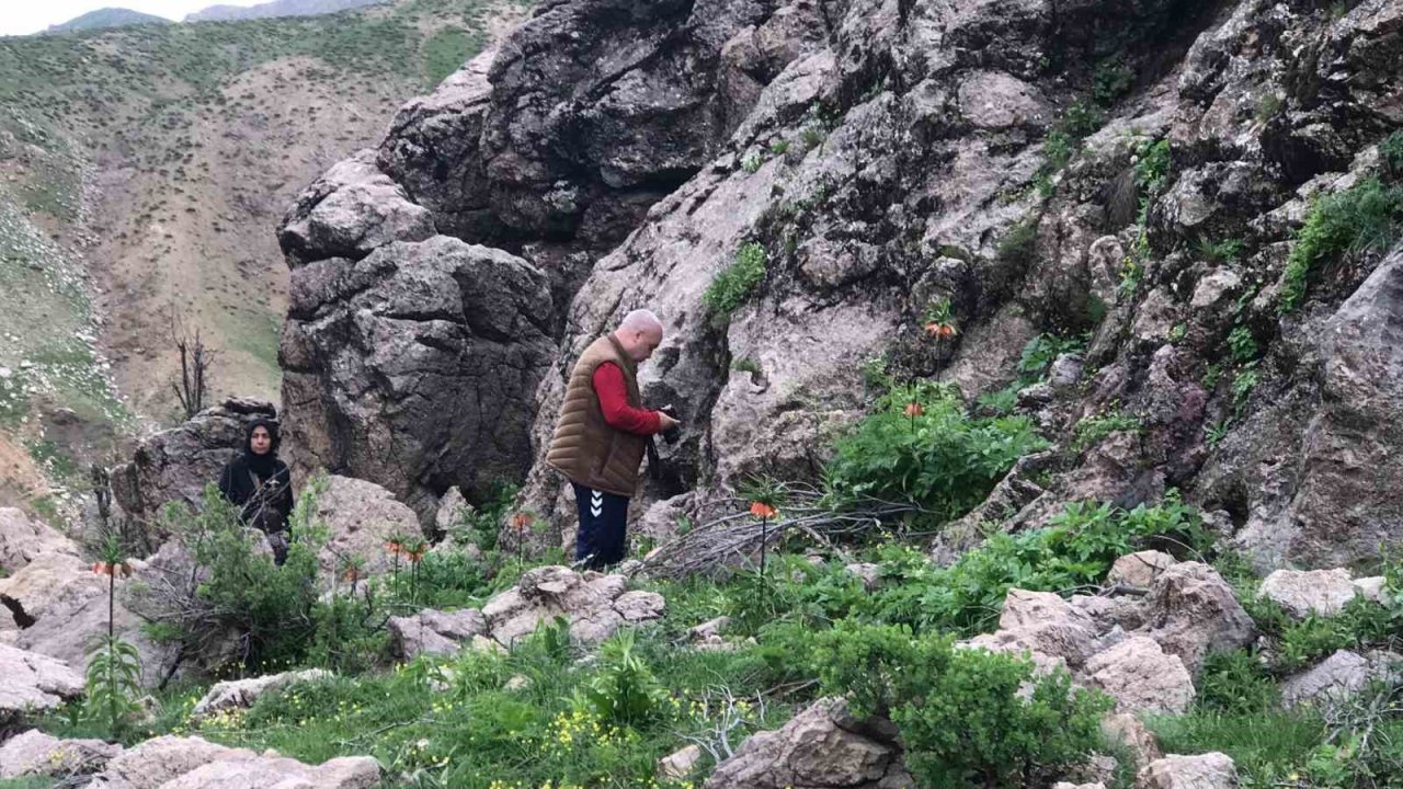 ’Ağlayan gelinler’ görsel şölen oluşturdu