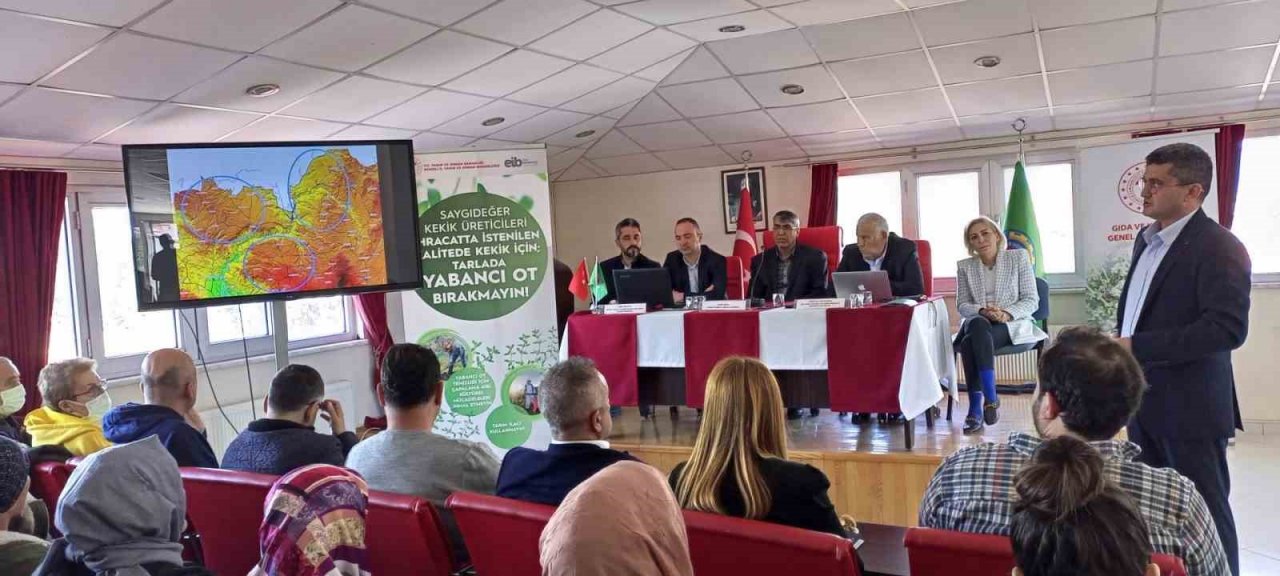 Kekik üreticilerine yönelik sohbet toplantıları tamamlandı