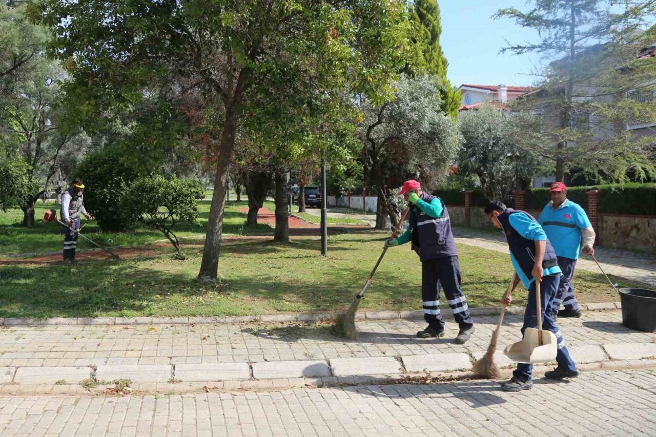 Efeler’in yeşil ekipleri, bahar temizliğini sürdürüyor