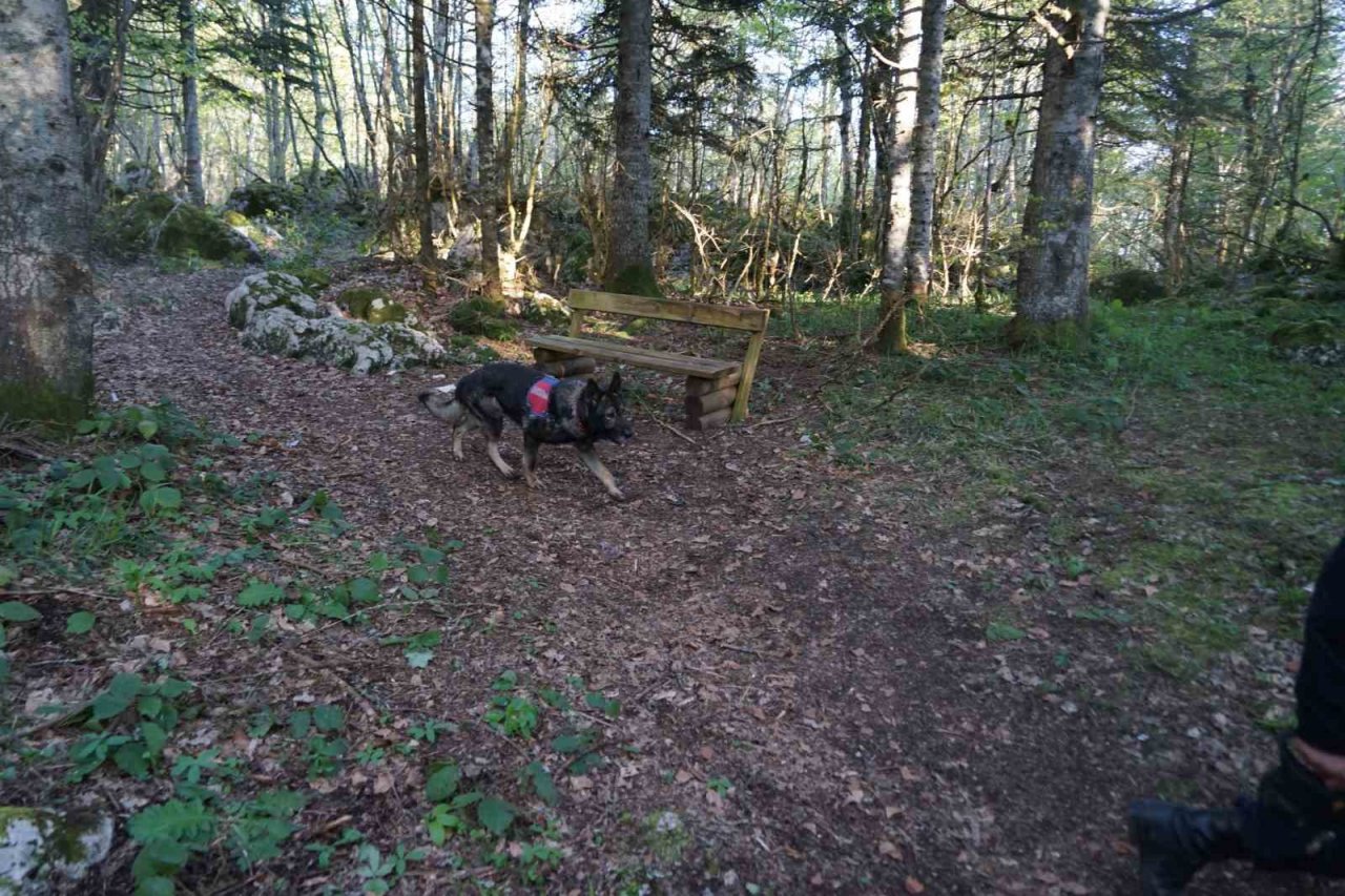 Milli parkta kaybolan vatandaşı arama çalışmaları 9’uncu gününde sürüyor