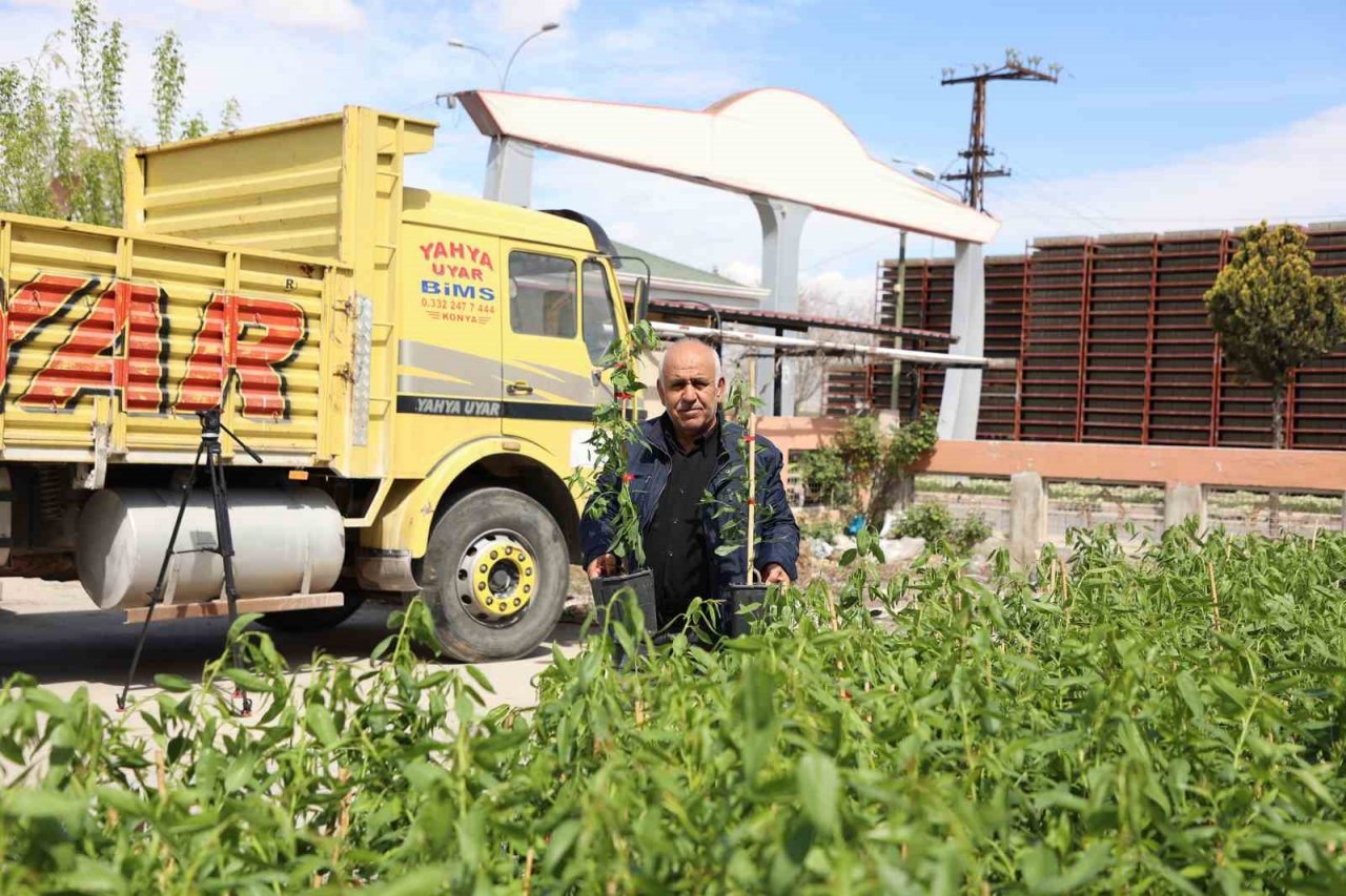 Konya Büyükşehir 31 ilçede ürün çeşitliliğini artırmak için çiftçiye destek oluyor