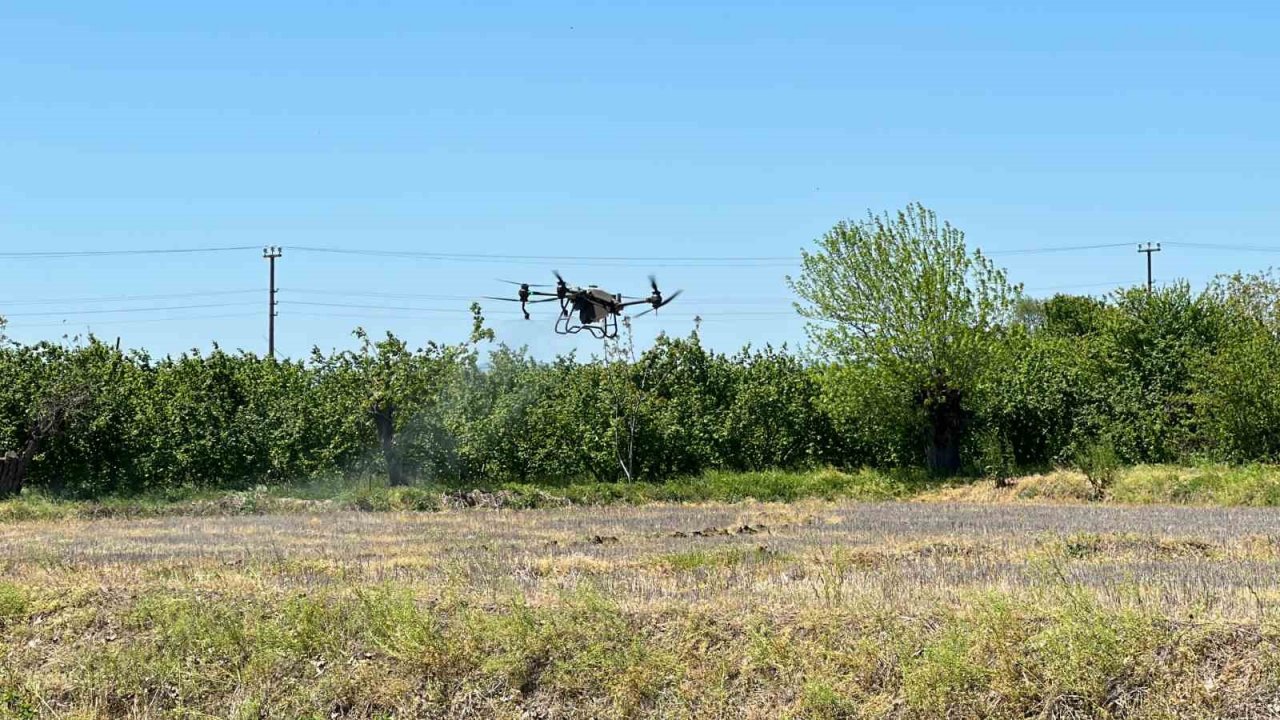 Çeltikler Düzce’de dron ile dikilecek