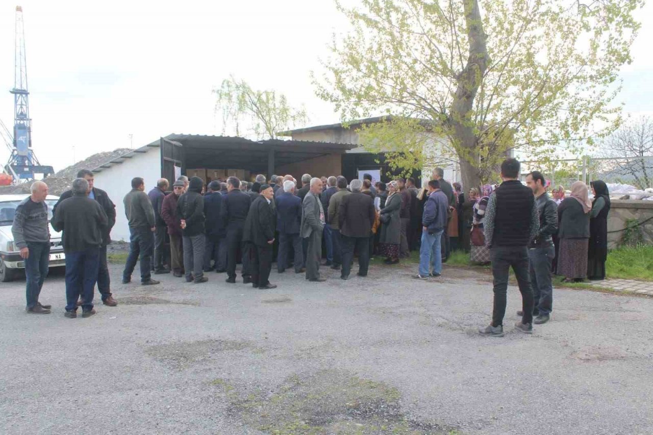 Çiftçilere 20 bin adet biber, 42 bin domates fidesi dağıtıldı