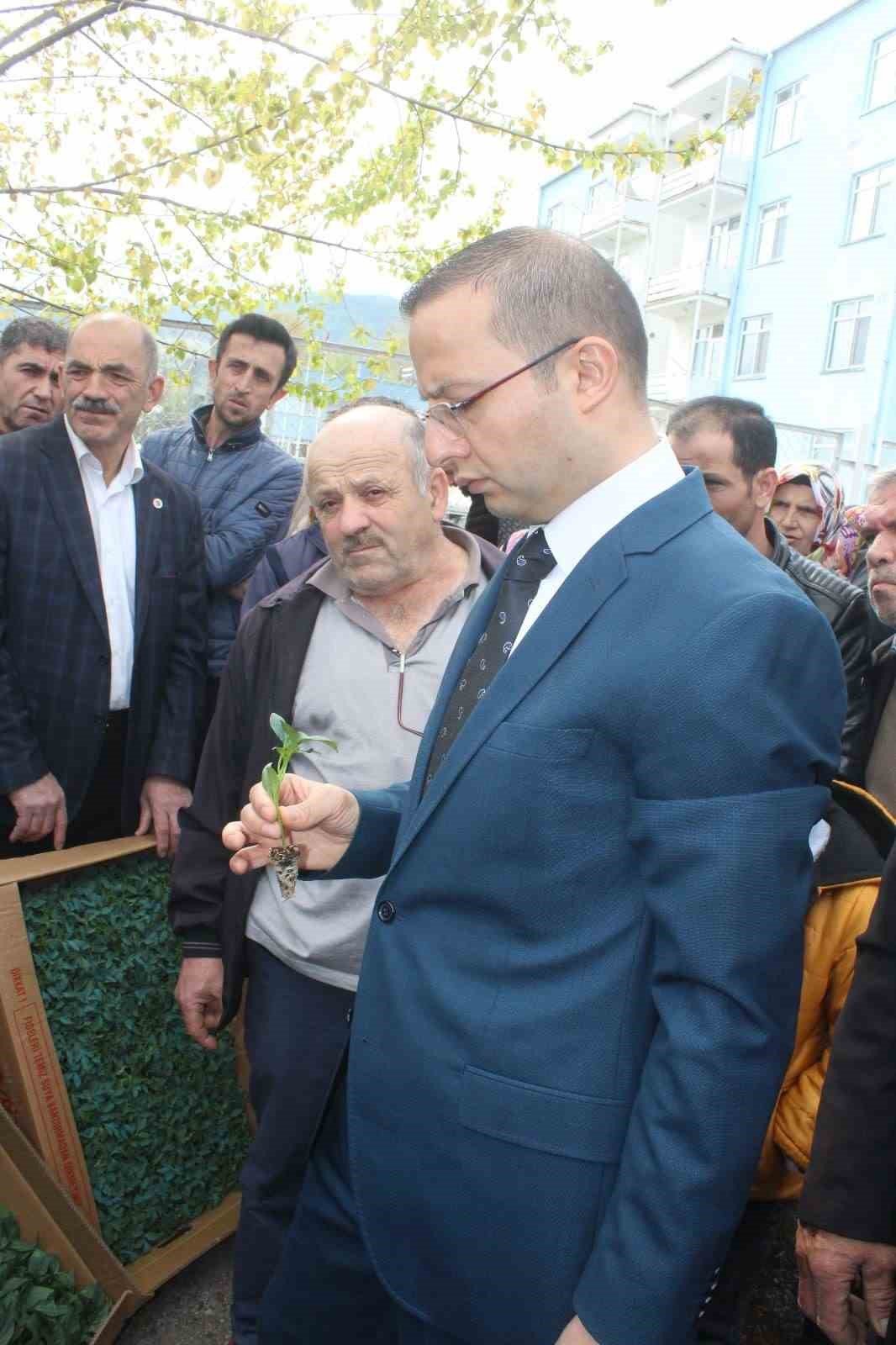 Çiftçilere 20 bin adet biber, 42 bin domates fidesi dağıtıldı