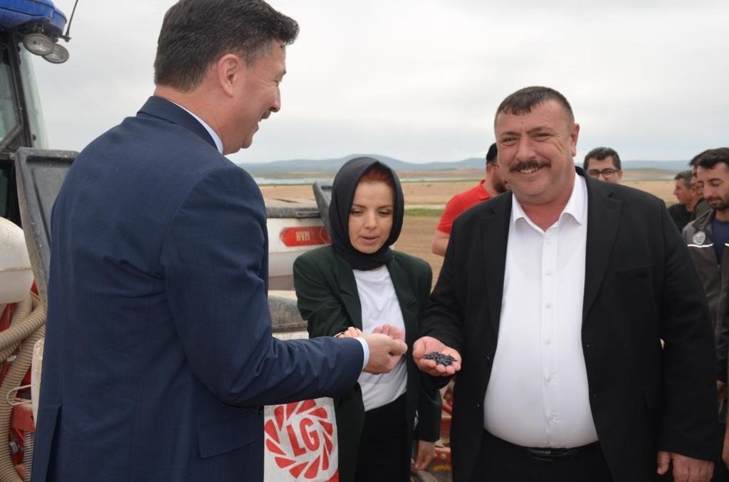 Beylikova ayçiçeğinde zirveye oynuyor