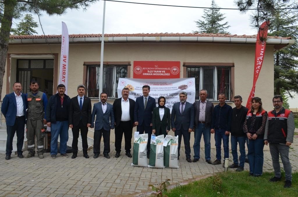 Beylikova ayçiçeğinde zirveye oynuyor