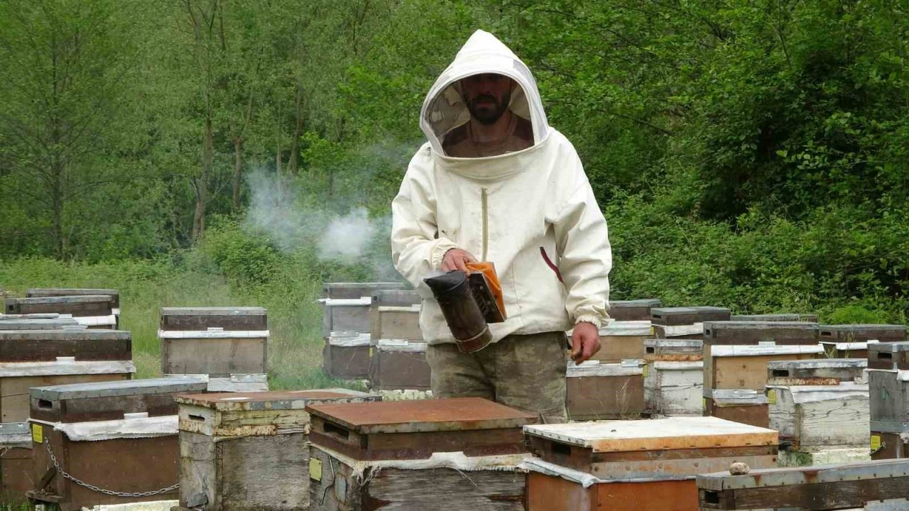 Ordulu arıcılar sezonu açtı