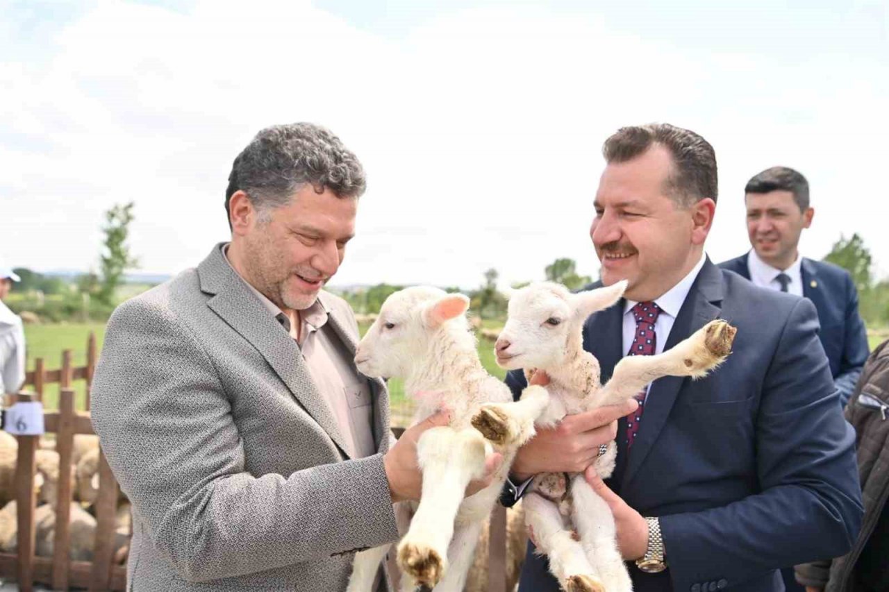 Balıkesir hayvancılığın en iyisi olma yolunda