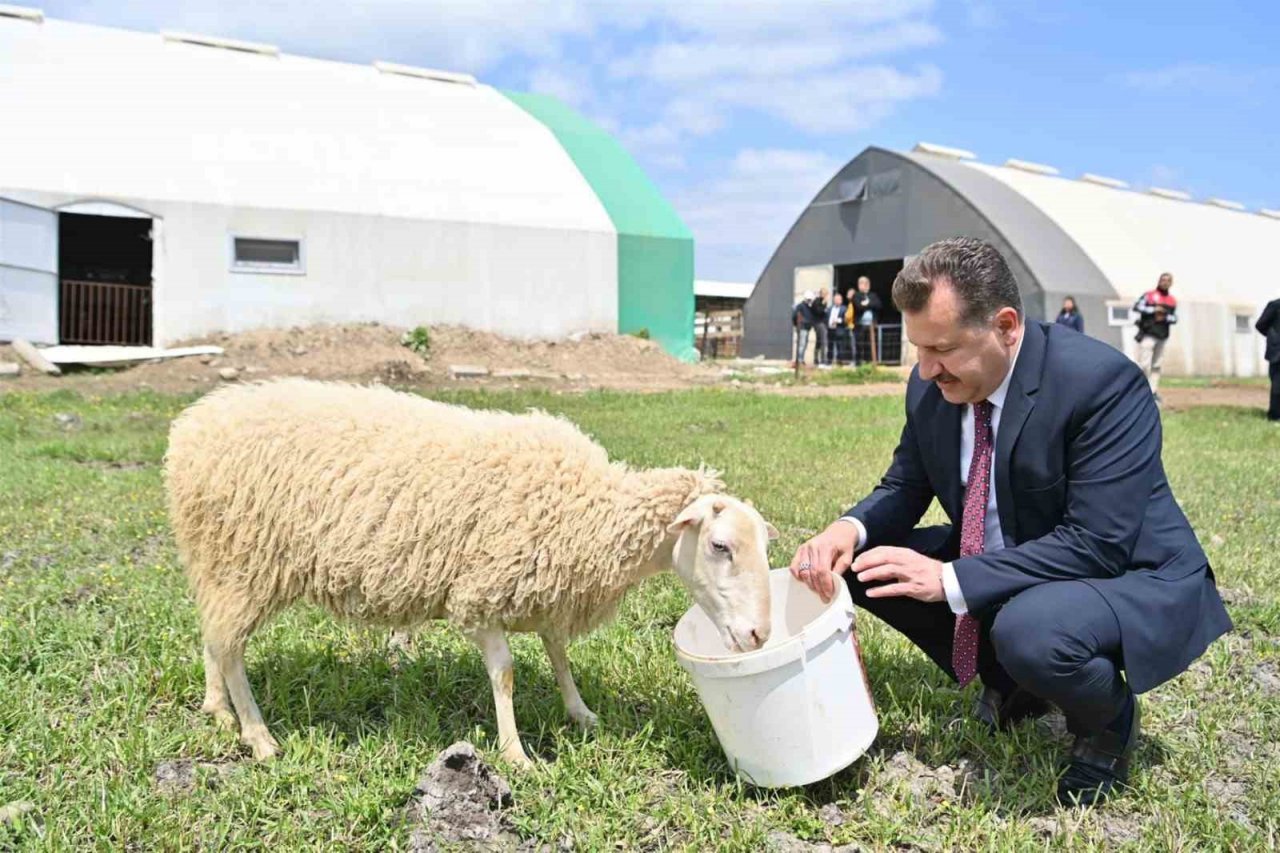 Balıkesir hayvancılığın en iyisi olma yolunda