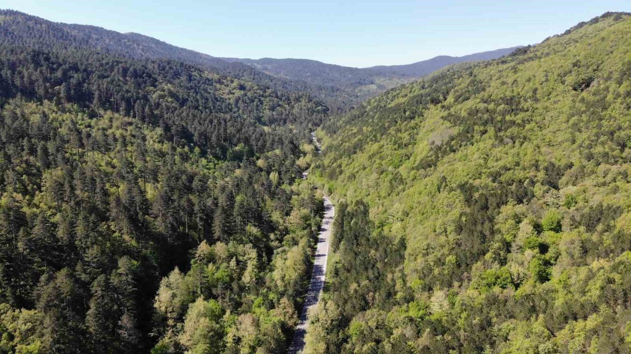 Kazdağları yeşilin binbir tonuna ev sahipliği yapıyor
