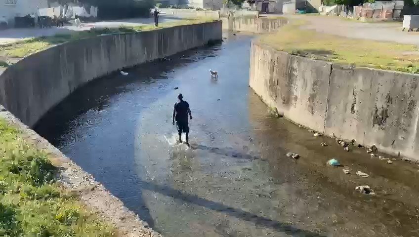 Batman’da kanala düşen kuzu itfaiye ekiplerince kurtarıldı