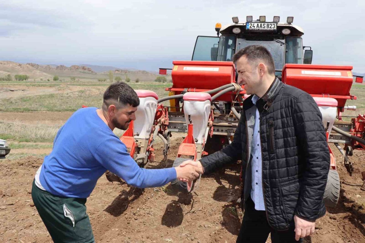 Çayırlı’da ayçiçeği ekimi başladı