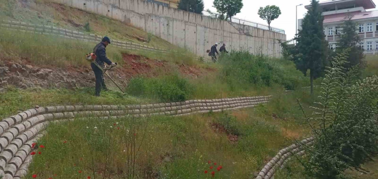 Dulkadiroğlu’nda çevre temizliği