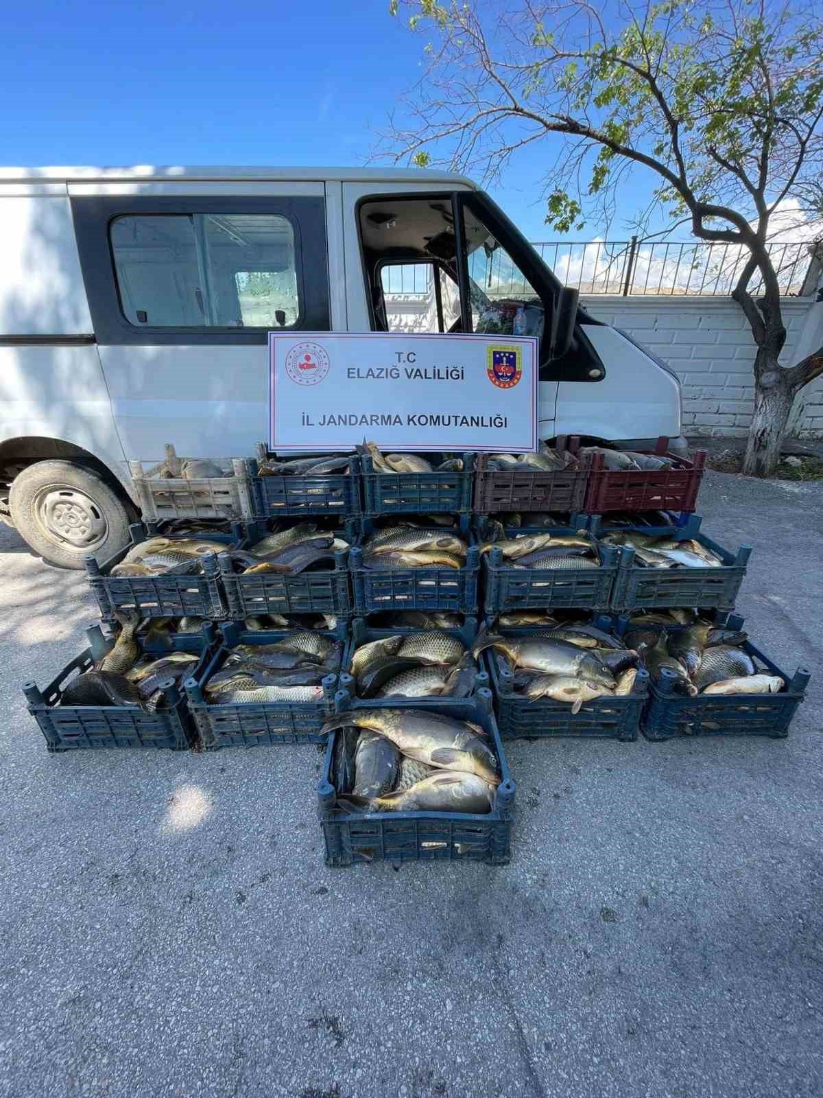 Elazığ’da kaçak balık avı yapan 3 şahsa, 49 bin lira ceza