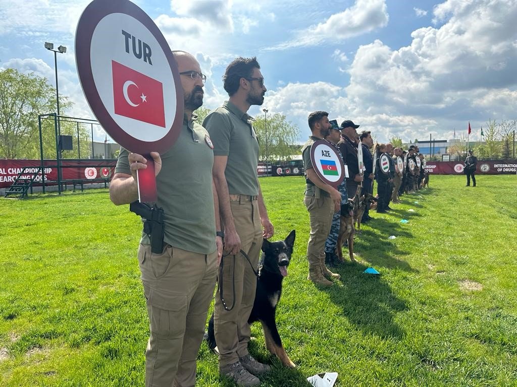 Hassas burunlar kıyasıya yarıştı