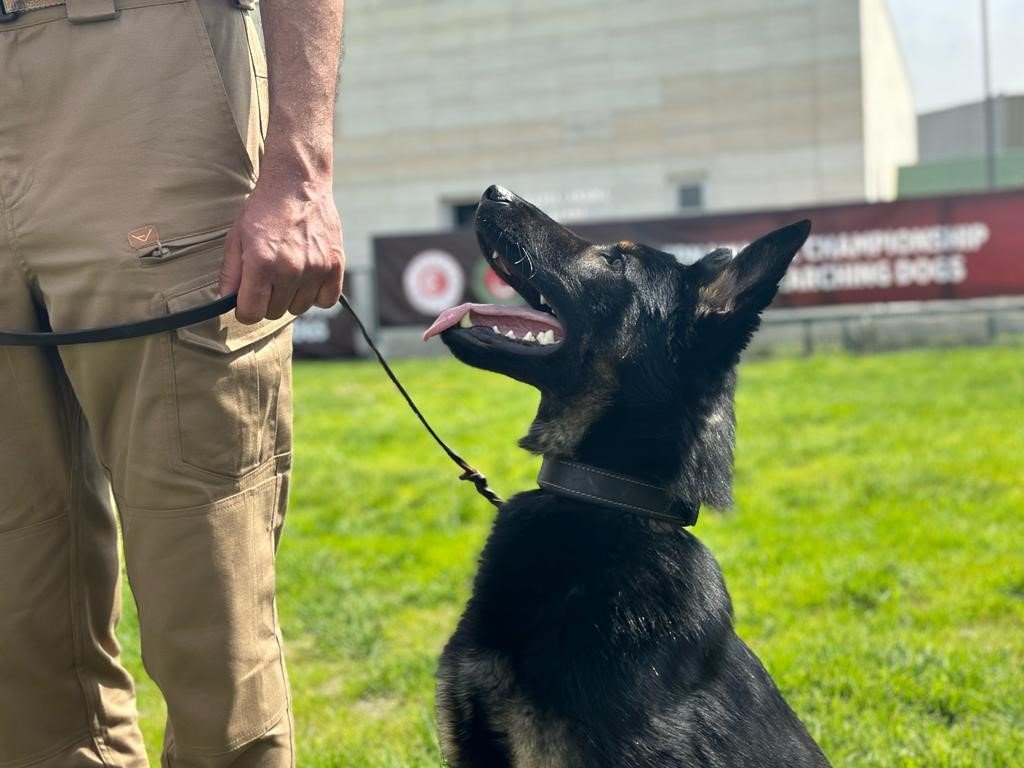 Hassas burunlar kıyasıya yarıştı