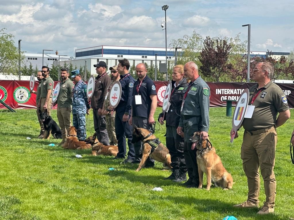Hassas burunlar kıyasıya yarıştı
