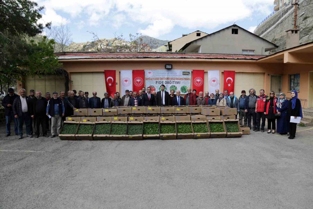 Gümüşhane’den 195 bin sebze fidesi toprakla buluşacak