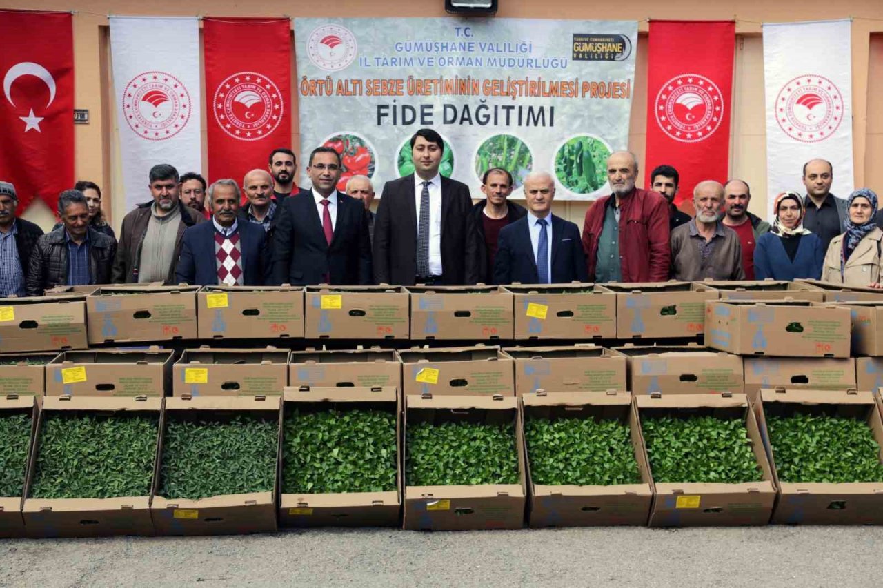 Gümüşhane’den 195 bin sebze fidesi toprakla buluşacak