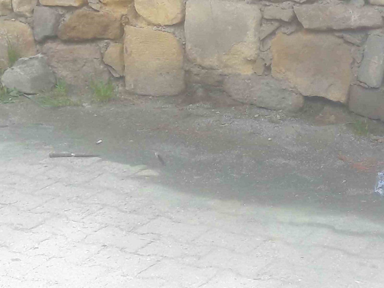 Kastamonu’da bıçaklı kavga: 1 yaralı