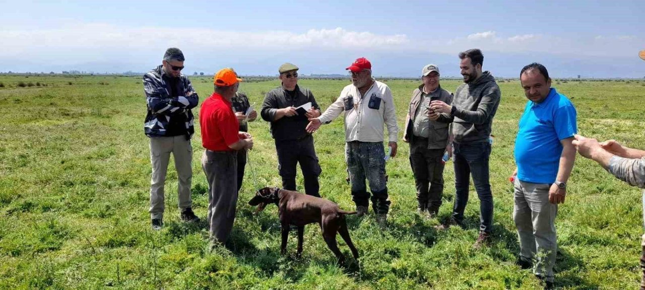 Fermalı av köpekleri Salihli’de yarıştı