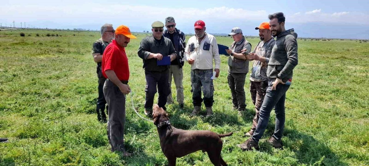 Fermalı av köpekleri Salihli’de yarıştı