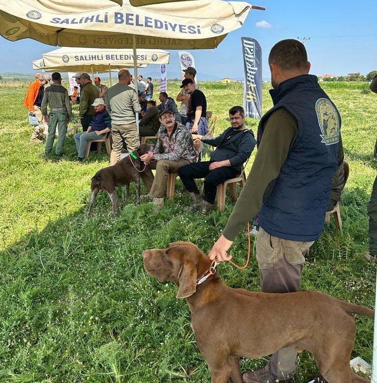 Fermalı av köpekleri Salihli’de yarıştı