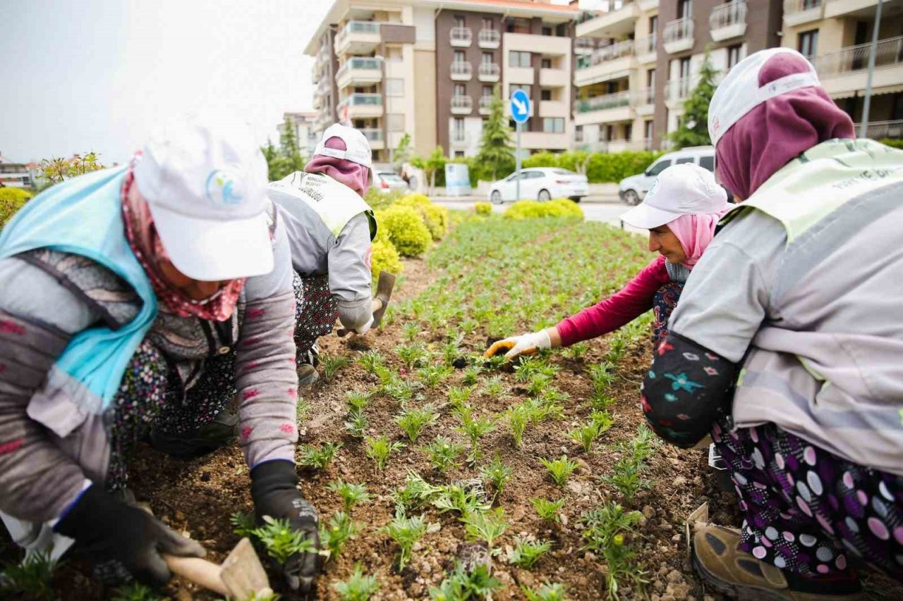 Mevsimlik çiçekler Merkezefendi’yi renklendirecek