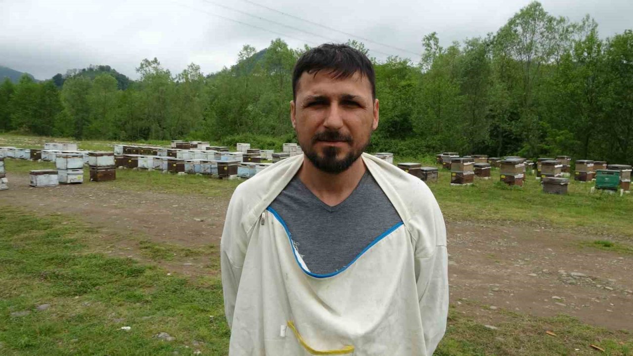 Ordulu arıcılar sezonu açtı