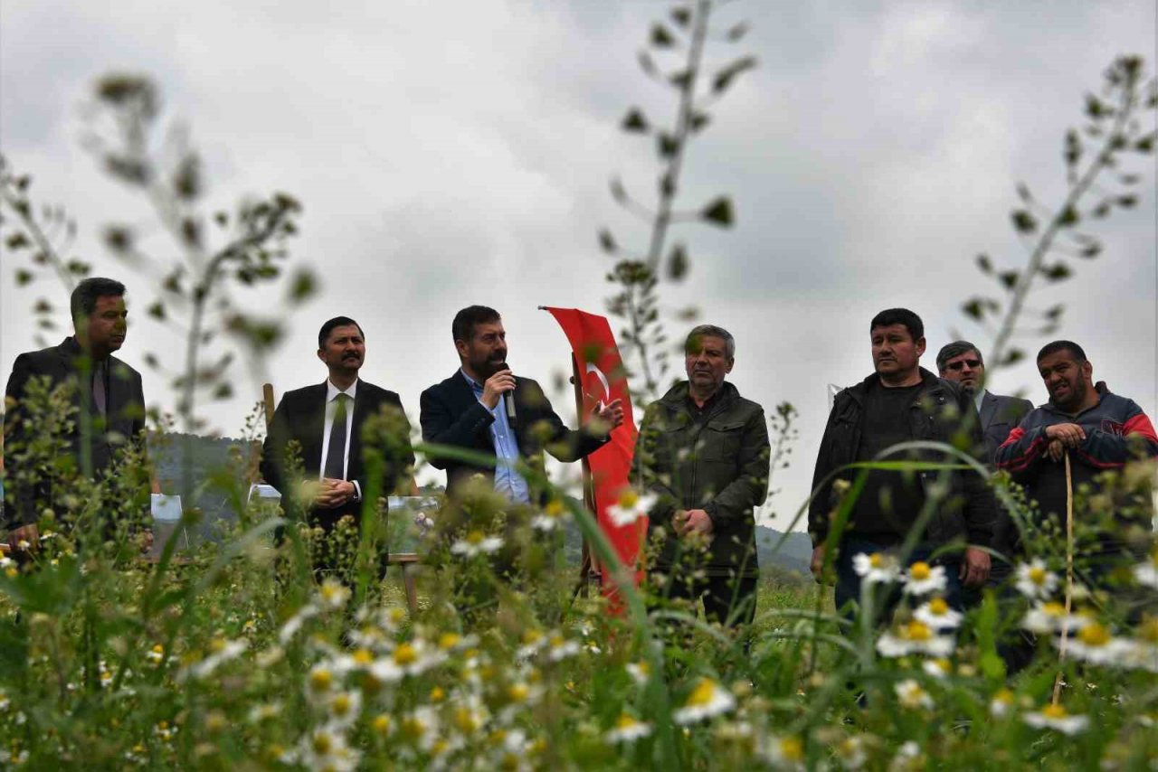 Sındırgı’da hayvancılığa destek projesi