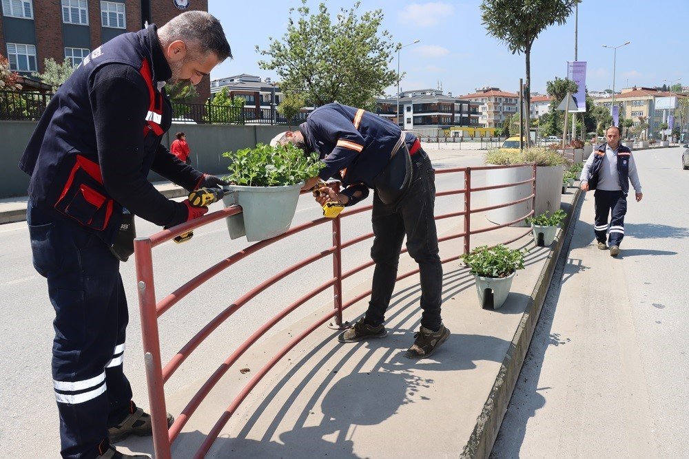 Yalova Belediyesi’nden çiçeklendirme çalışması