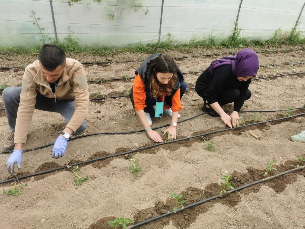 ZBEÜ’de ‘Kampüs Bostanı’ uygulaması hayata geçirildi