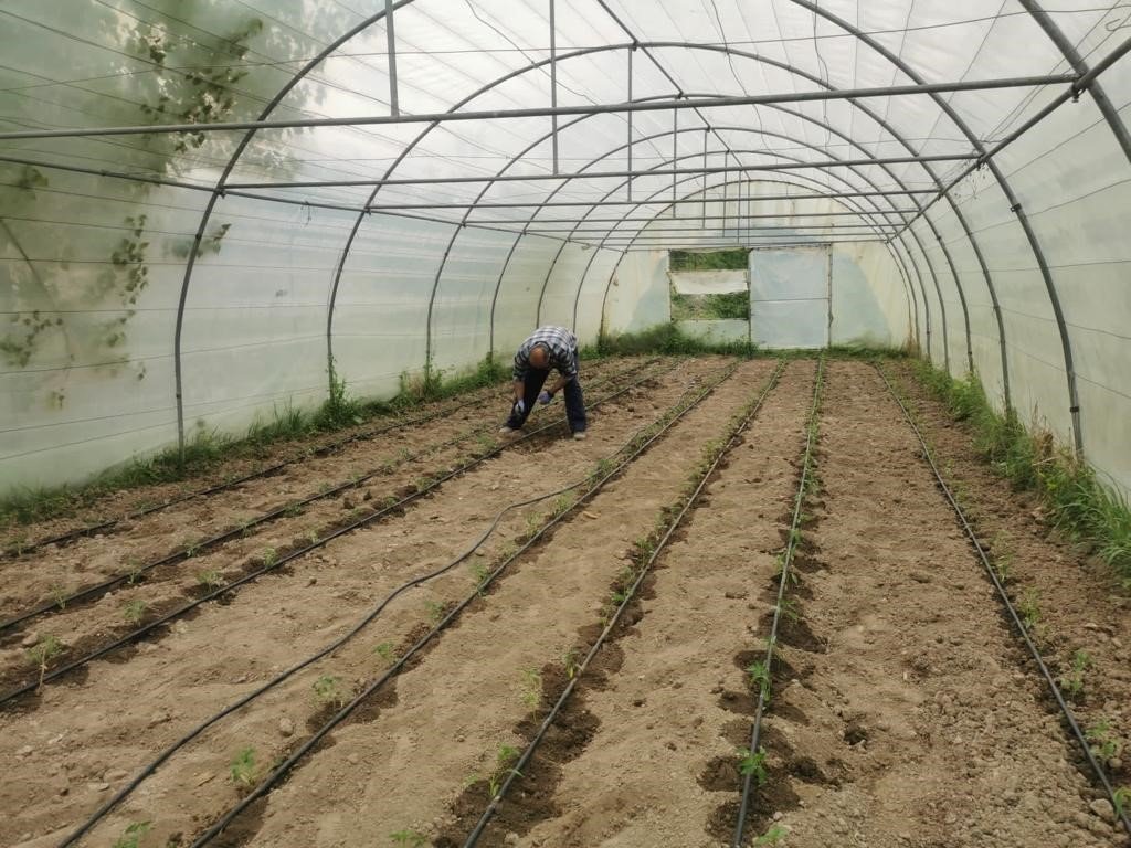 ZBEÜ’de ‘Kampüs Bostanı’ uygulaması hayata geçirildi