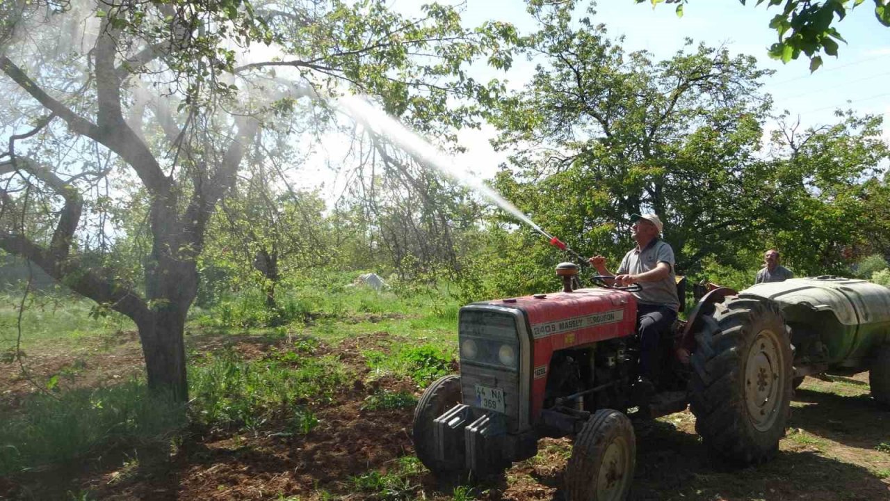 Kayısı düşük rekolte tehlikesiyle karşı karşıya