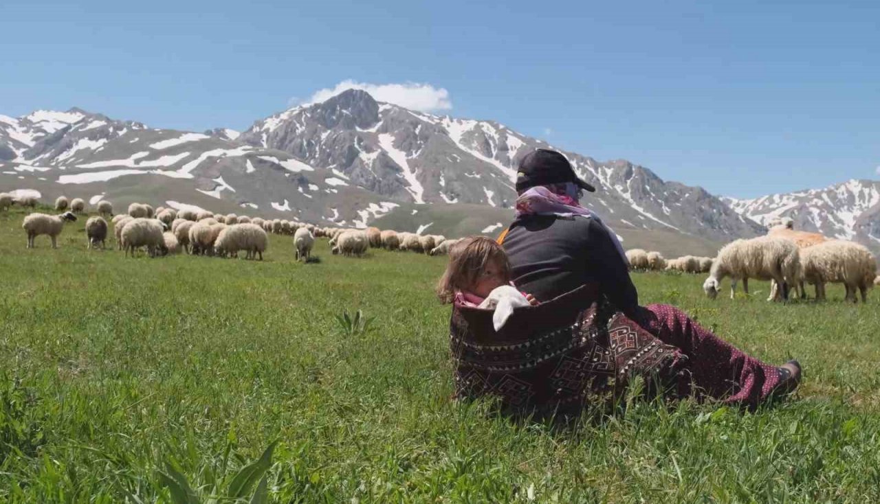 Erzincan’da meralar küçükbaş hayvanlarla şenlendi