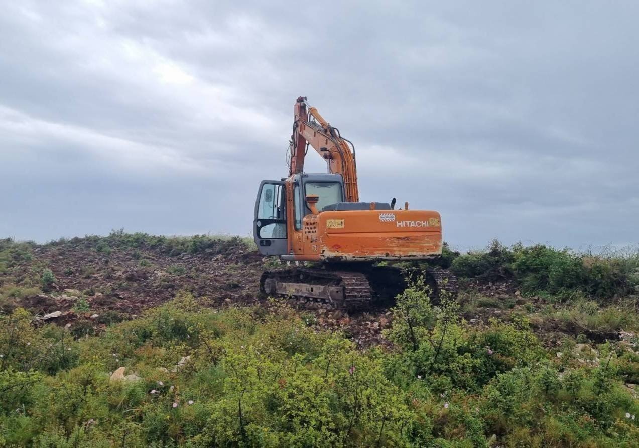 Hazineye ait araziyi kazarken yakalandılar
