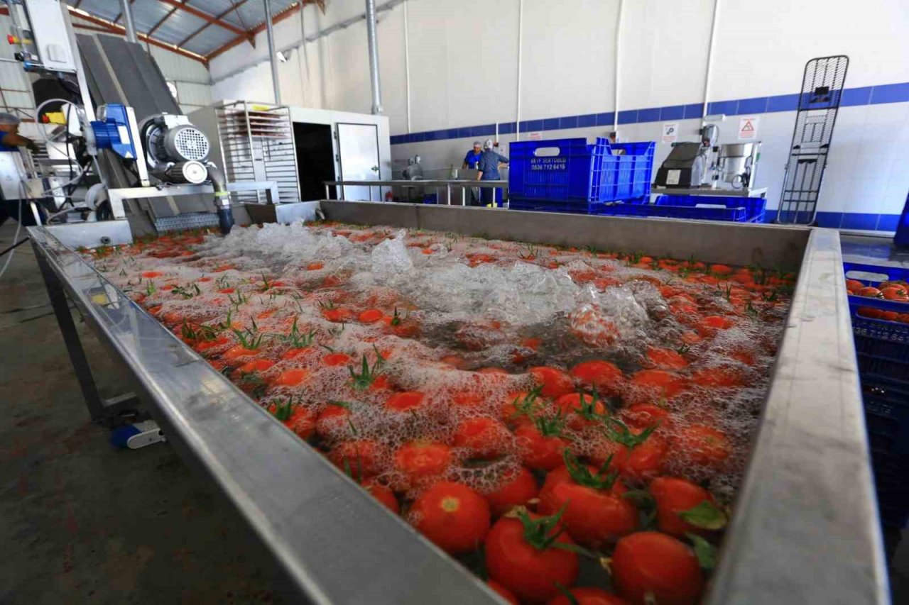 Muğla’nın ürünleri bu tesiste değerine değer katıyor