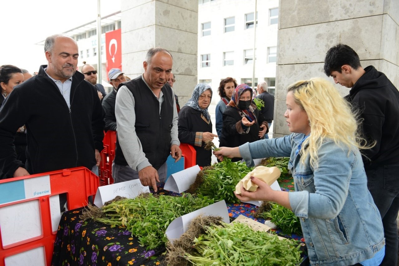 Nilüfer’de balkon tarımı fidelerle yaygınlaşıyor