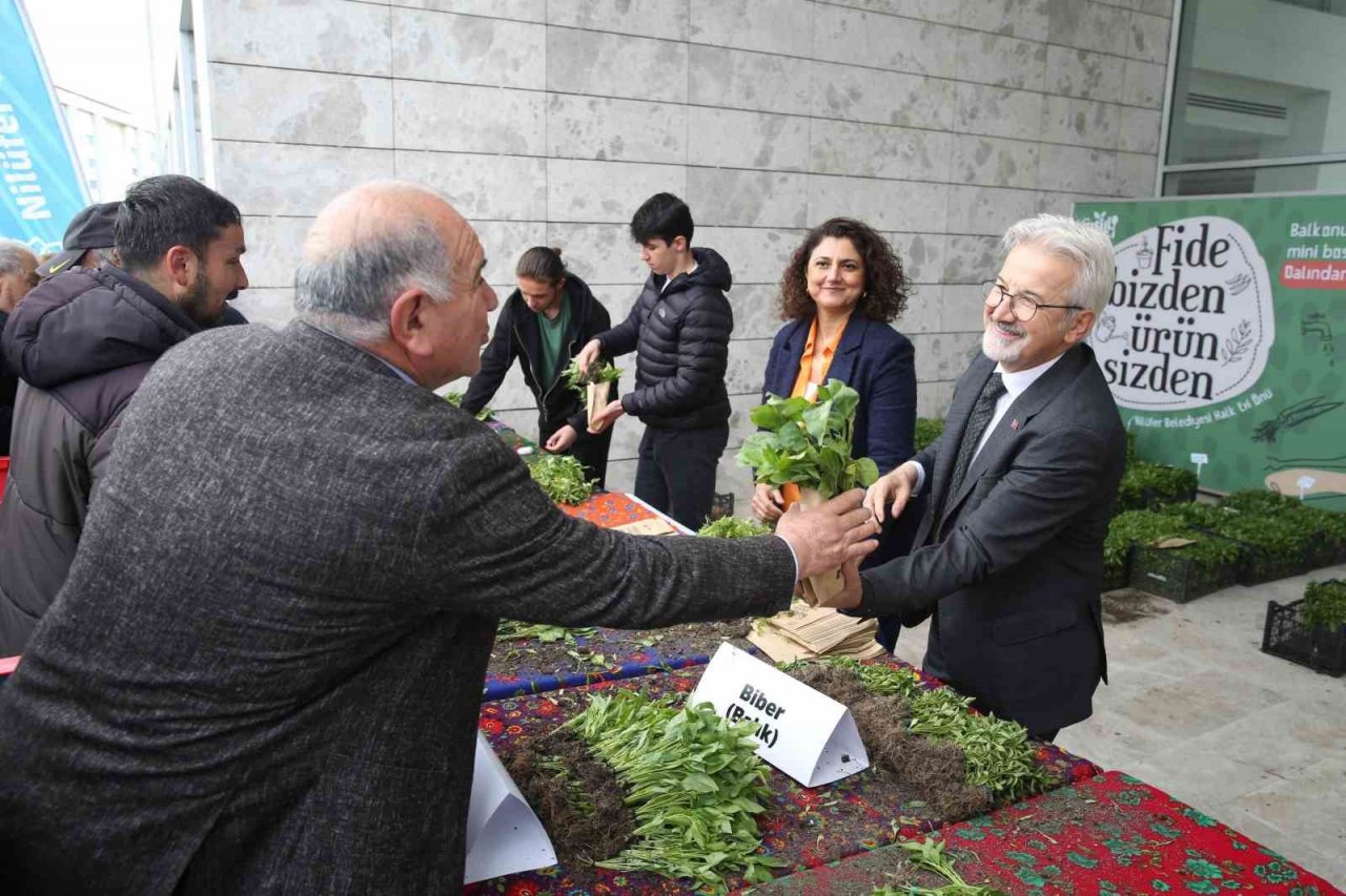 Nilüfer’de balkon tarımı fidelerle yaygınlaşıyor