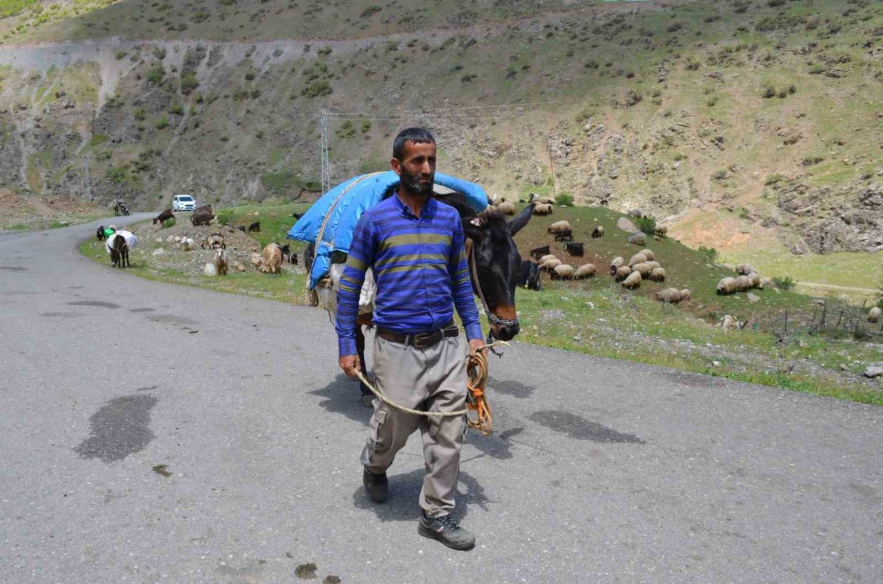 Şırnak’ta göçerler yaylaya ulaştı