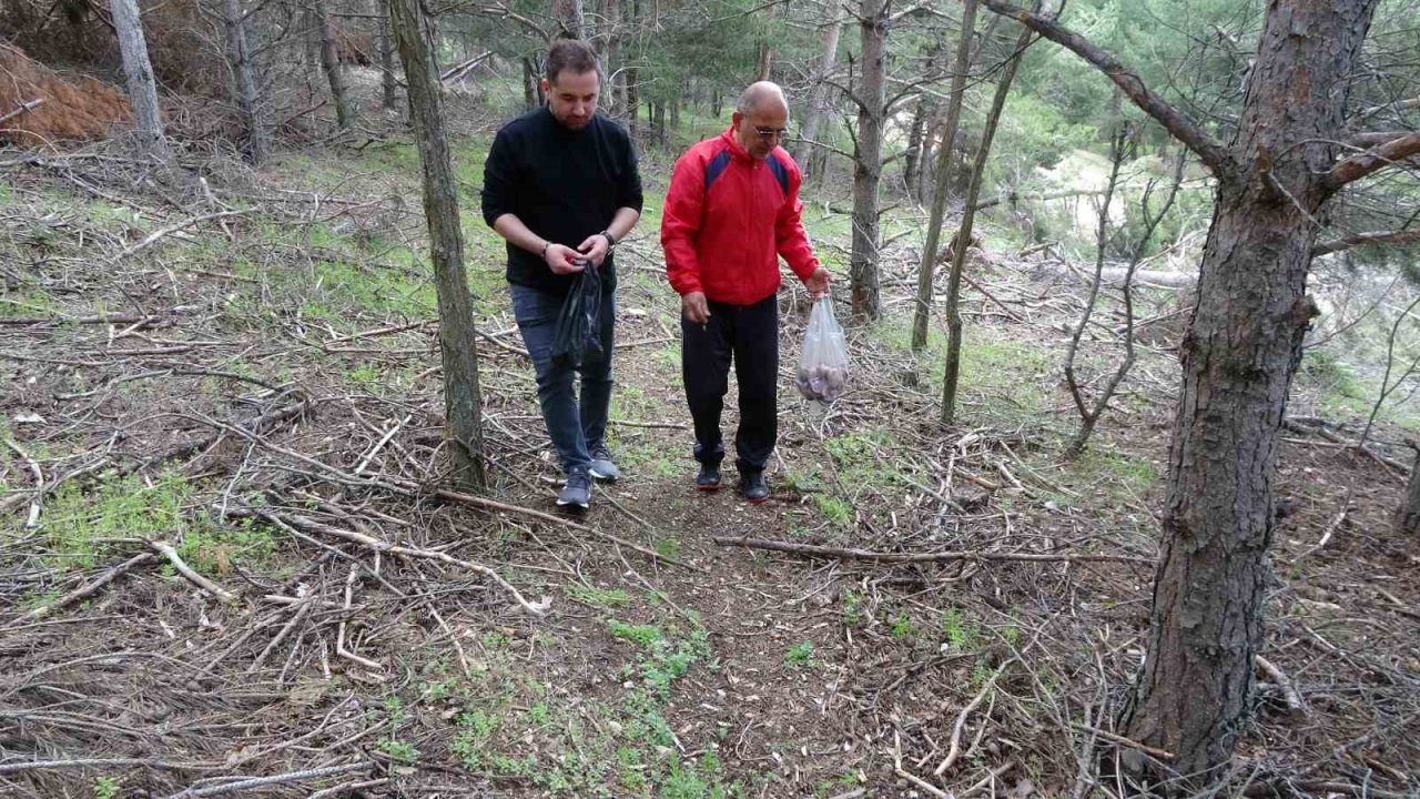 Doğadan toplanıp tüketilen mantar ölüme yol açabiliyor