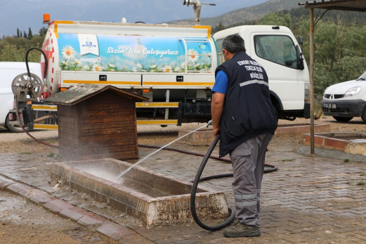 Sokaktaki canlar Edremit Belediyesi’ne emanet