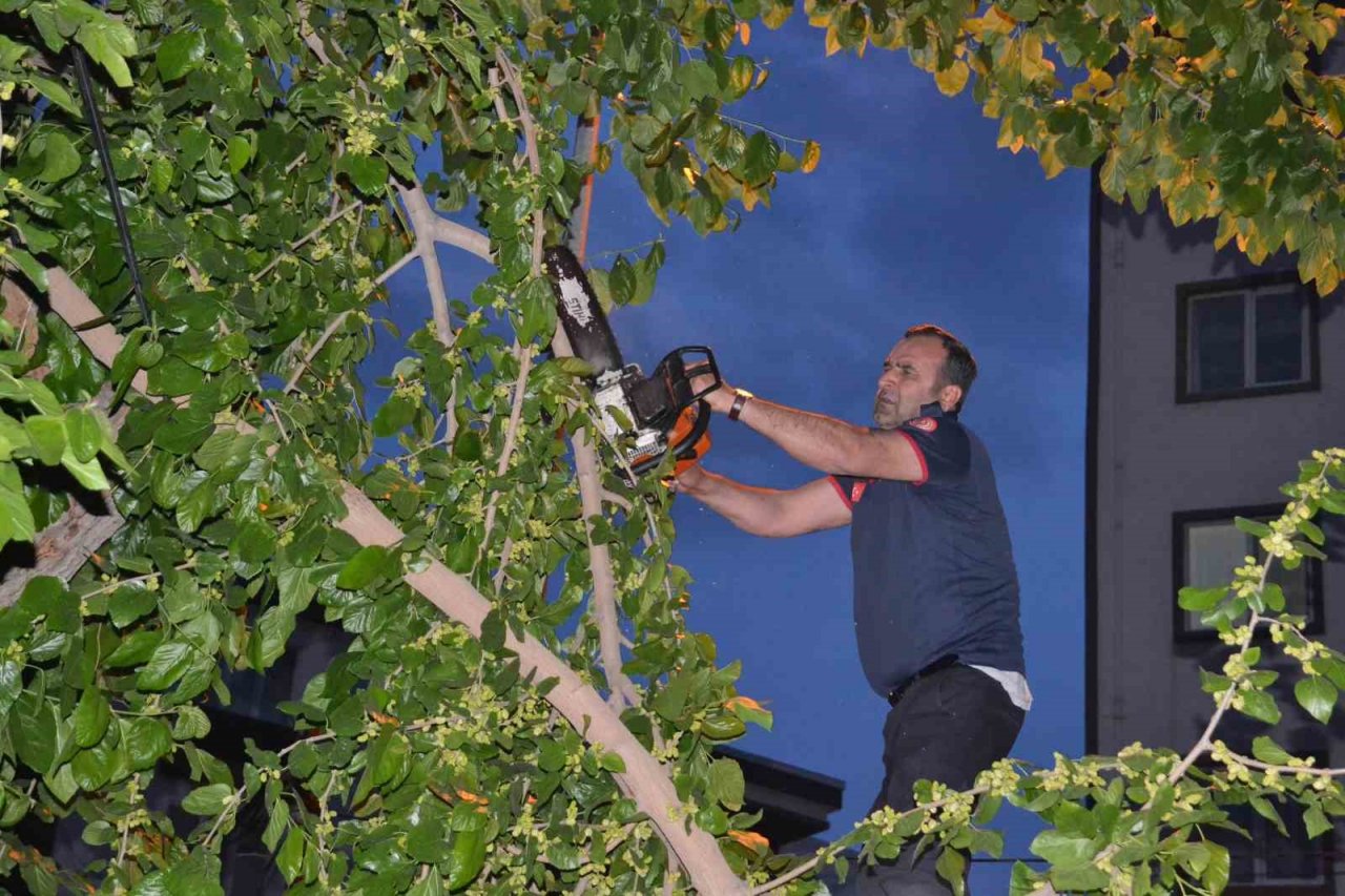 Batman’da sokağa devrilen ağaç itfaiye ekipleri tarafından kaldırıldı