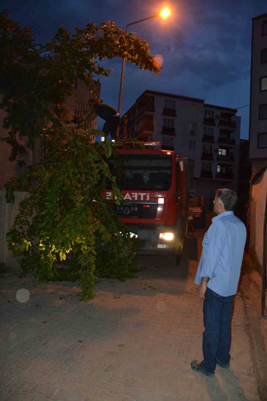 Batman’da sokağa devrilen ağaç itfaiye ekipleri tarafından kaldırıldı