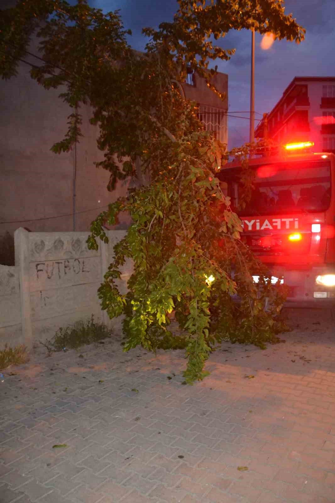 Batman’da sokağa devrilen ağaç itfaiye ekipleri tarafından kaldırıldı