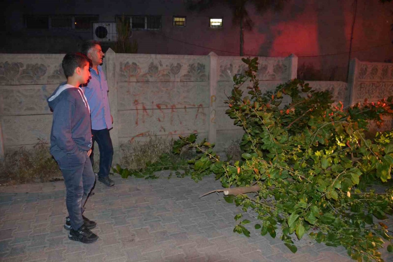 Batman’da sokağa devrilen ağaç itfaiye ekipleri tarafından kaldırıldı