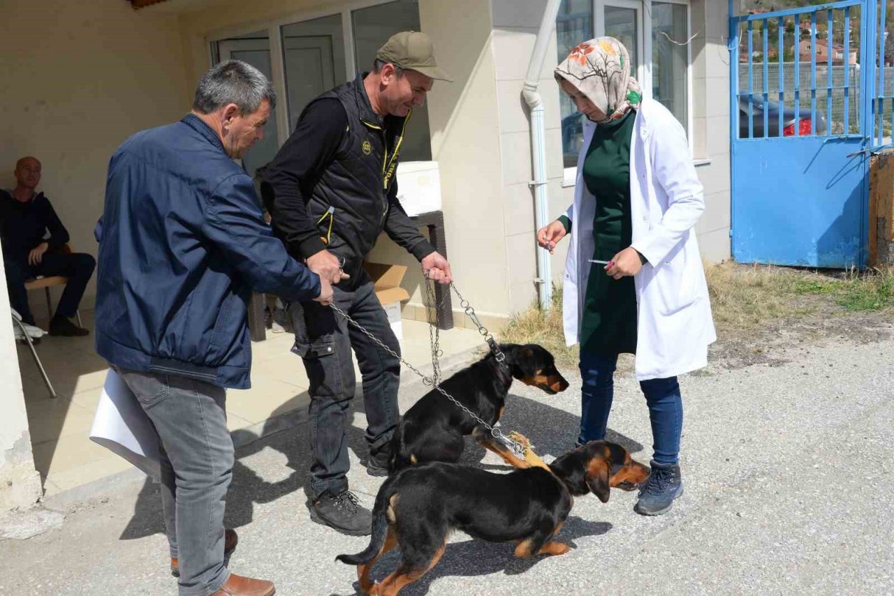 Bozüyük’te ücretsiz kuduz aşısı kampanyası kapsamında 263 aşı yapıldı