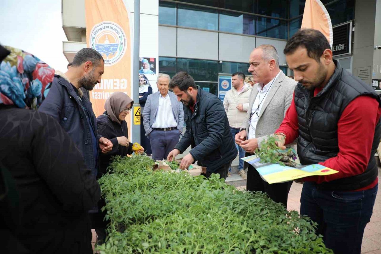 Gemlik Belediyesi’nden organik tarıma destek
