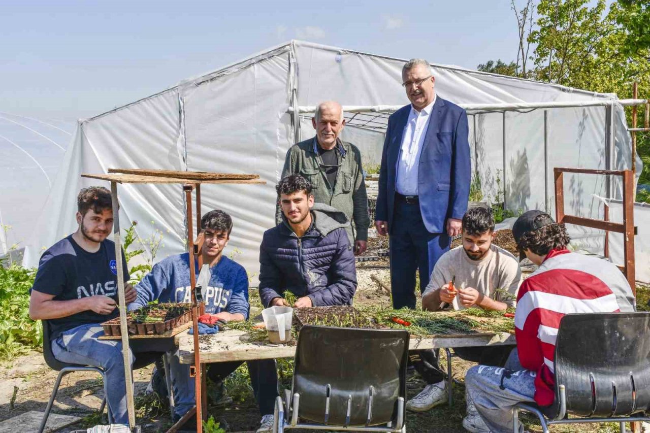 Karacabey, aromatik bitki alanında da dikkat çekiyor